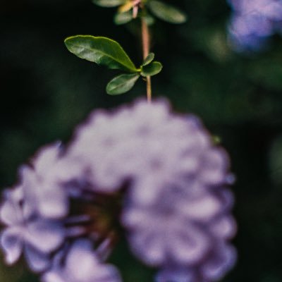 tracy_kkz's profile picture. Artist