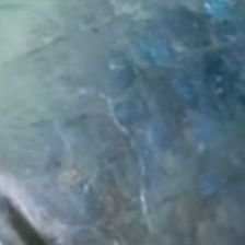 gantou950111's profile picture. 