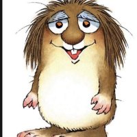 ok (@wegonebeok) 's Twitter Profile Photo ok (@wegonebeok) 's Twitter Profile Photo