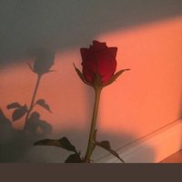 Mâh 🌙 (@mahbemah) Twitter profile photo