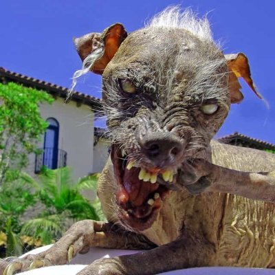 WardogAlex's profile picture. 