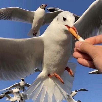 zhefang2088's profile picture. 