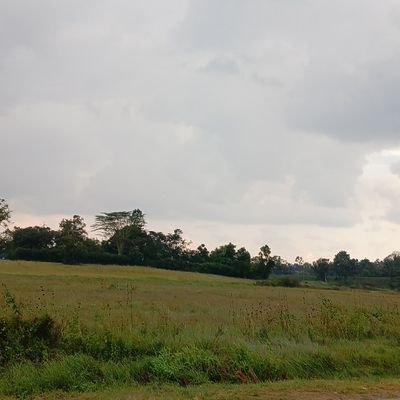 Vinley_Otara's profile picture. Niko tu