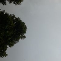 Kebba M (@kebbam237162) 's Twitter Profile