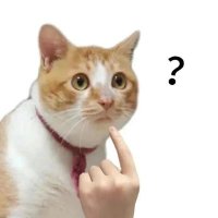 Lucas (@lucas2727y) 's Twitter Profile