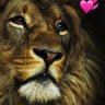 bodywonderful's profile picture. 