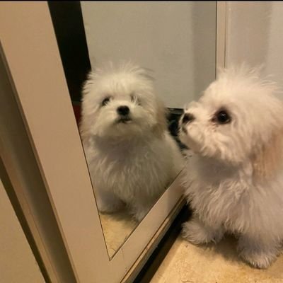 pr3tty_lowkey's profile picture. hmmmpppp