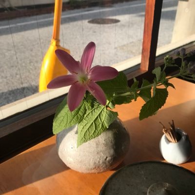 tomomiNts's profile picture. 暖かいところと、旅が好きです。無言フォローすいません（＾ν＾）