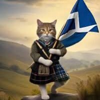 Scotland 🏴 (@carol_catsx7) 's Twitter Profile