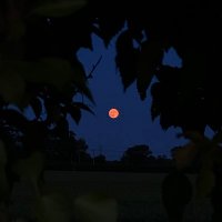 Henry. K (@henryk_photo) 's Twitter Profile Photo Henry. K (@henryk_photo) 's Twitter Profile Photo