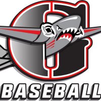 Georgia Bombers Baseball (@georgiabombers) 's Twitter Profile