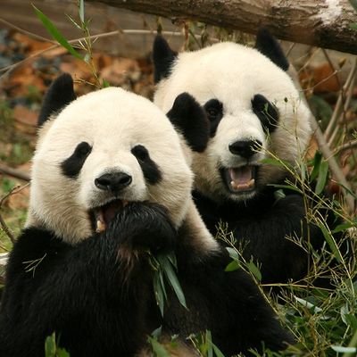 LilyLily_6's profile picture. 