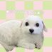 수디어리 (@soodeary) Twitter profile photo 수디어리 (@soodeary) Twitter profile photo