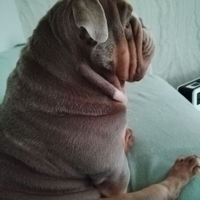 LisaRobert79419's profile picture. Sick to death of all this shit