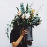 vegetablechang's profile picture. 