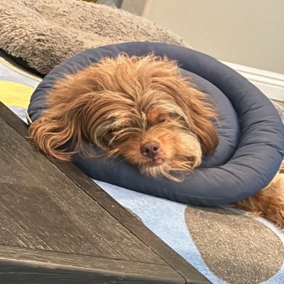 KTS7111's profile picture. I love God, Books and Family!!