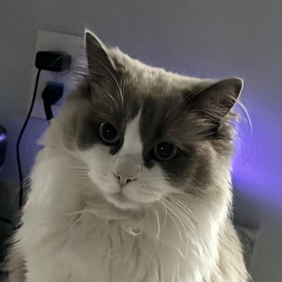 Keithtg0987's profile picture. 
