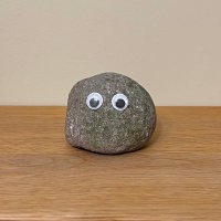 Rocky (@rockysolanacoin) Twitter profile photo