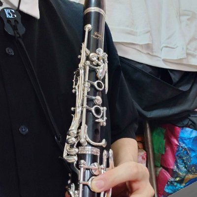 かいせい / いかさんのプロフィール画像