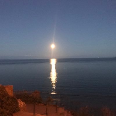 dagnall_mark's profile picture. Husband, Father, Grandad, Welsh and proud. described by she who knows me best as Neurodiverse with the skin of a Rhino TRFC exile.🏴󠁧󠁢󠁷󠁬󠁳󠁿