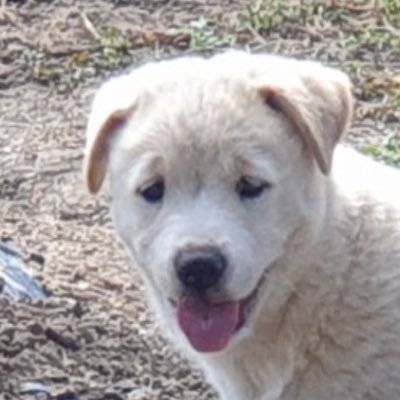 suhkangg's profile picture. 