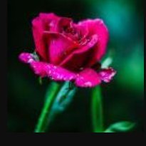 abhay_garhwal's profile picture. 