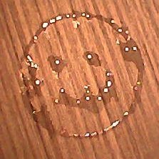 noeljames3's profile picture. Yin Yang Yly