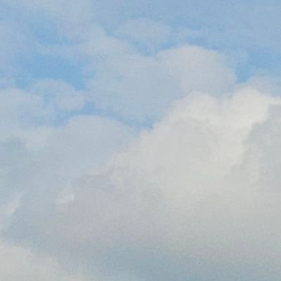 cry_cry_inging's profile picture. 2n 프레이,브랫.