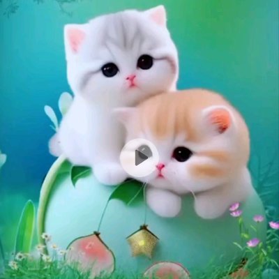 Adnanpmln162652's profile picture. 