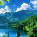 Nature Pictures (@natures_picture) Twitter profile photo Nature Pictures (@natures_picture) Twitter profile photo