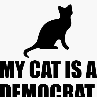 schnecki0's profile picture. Democrat passionate about science, software, and fighting climate change. Proudly anti-fascist. Loves animals as long as they are cats ;-)