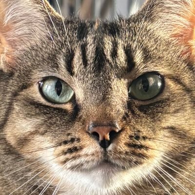 MjwAlbertsma's profile picture. Mikethebike