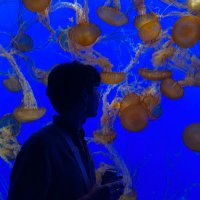 Zachary Novack @ICLR2025 🇸🇬 (@zacknovack) 's Twitter Profile
