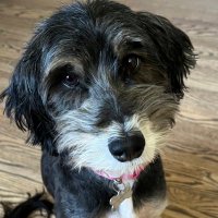 Nancy C. (@nmacr56c) 's Twitter Profile