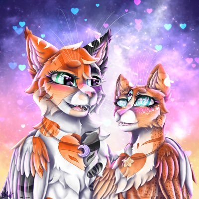 a cat without a nameさんのプロフィール画像