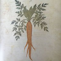 Carrot (@carrot2701) 's Twitter Profile