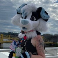 Winter @ FWA (@winterthecollie) 's Twitter Profile