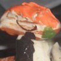 noam yuran (@noamyuran) 's Twitter Profile