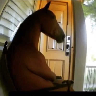 EverXBT's profile picture. no more horsing around