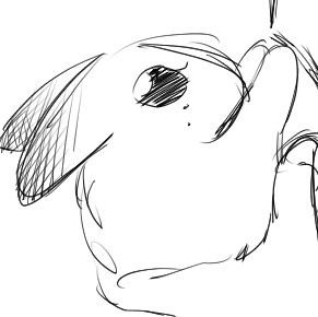 물범 🐋𝕽𝖚𝖎𝖝𝖎𝖆𝖓🐋さんのプロフィール画像