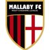 TheMallabyFC (@themallaby) Twitter profile photo TheMallabyFC (@themallaby) Twitter profile photo
