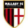 TheMallaby's profile picture. The Mallaby FC, West Cheshire Division 1.