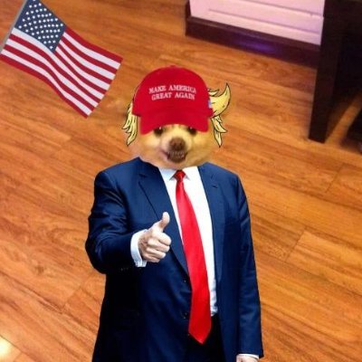 PussWifSolana's profile picture. The cutest and most memeable Pomeranian in the world