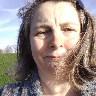 LSarahJ's profile picture. I write crime  & publish others 📚💕🕵🏼‍♀️ + offer editorial services!