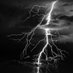 Storm (@tempesttuesday) Twitter profile photo Storm (@tempesttuesday) Twitter profile photo