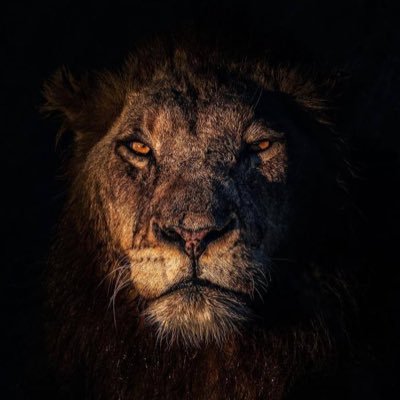 lawy_alhyd88450's profile picture. 