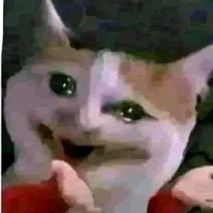 VernonJame59551's profile picture. 