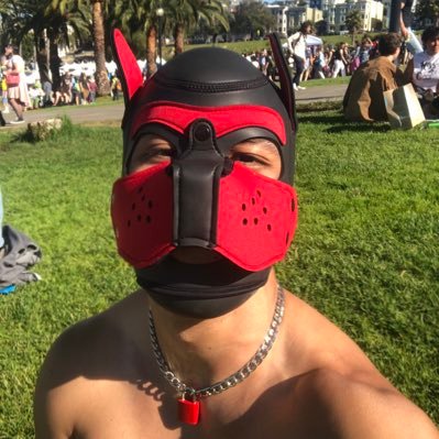 FF vers punch puppy. Founder of #FFSG (FF club in 🇸🇬), @PhillyPhisters member. Locked hypno sub of @lockedmapach. More active on Bluesky.