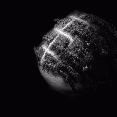 fbb1384726's profile picture. Only Win 🐰