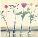 lucy chiu - @lucychiu1 - Twitter